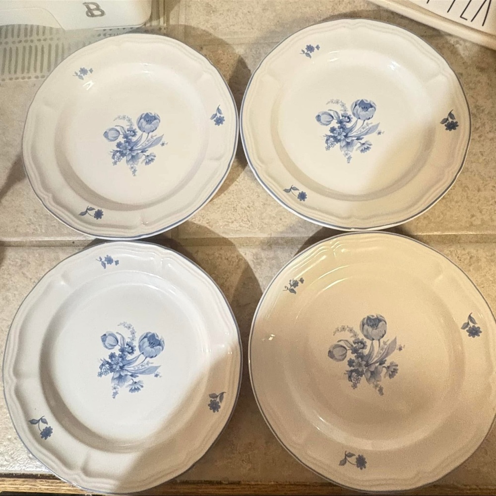 Blue Floral Dinner Plates Set